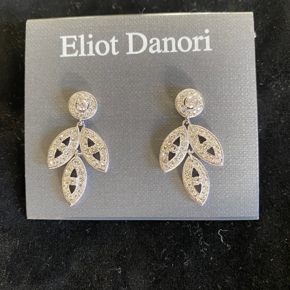 NWT Eliot Danori earnings